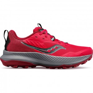 Saucony Blaze TR Women's Trail Running Shoes Rose | IRELAND LIJC