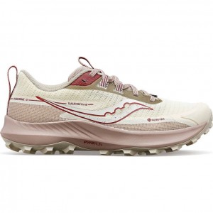 Saucony Peregrine 13 GTX Women's Trail Running Shoes White | IRELAND FLCY