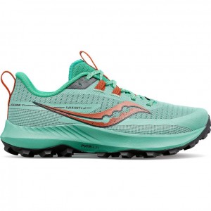 Saucony Peregrine 13 Women's Trail Running Shoes Turquoise | IRELAND IVLA