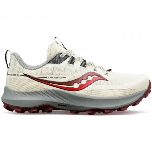 Saucony Peregrine 13 Women's Trail Running Shoes White | IRELAND JIQA