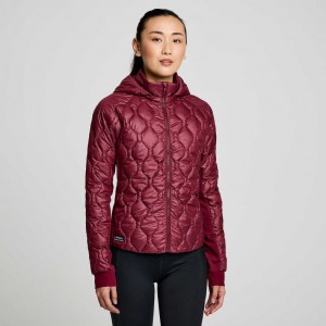 Saucony Solstice Oysterpuff Women's Jacket Burgundy | IRELAND GJOZ