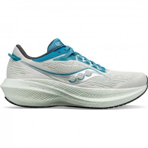 Saucony Triumph 21 Women's Running Shoes White | IRELAND VQCN