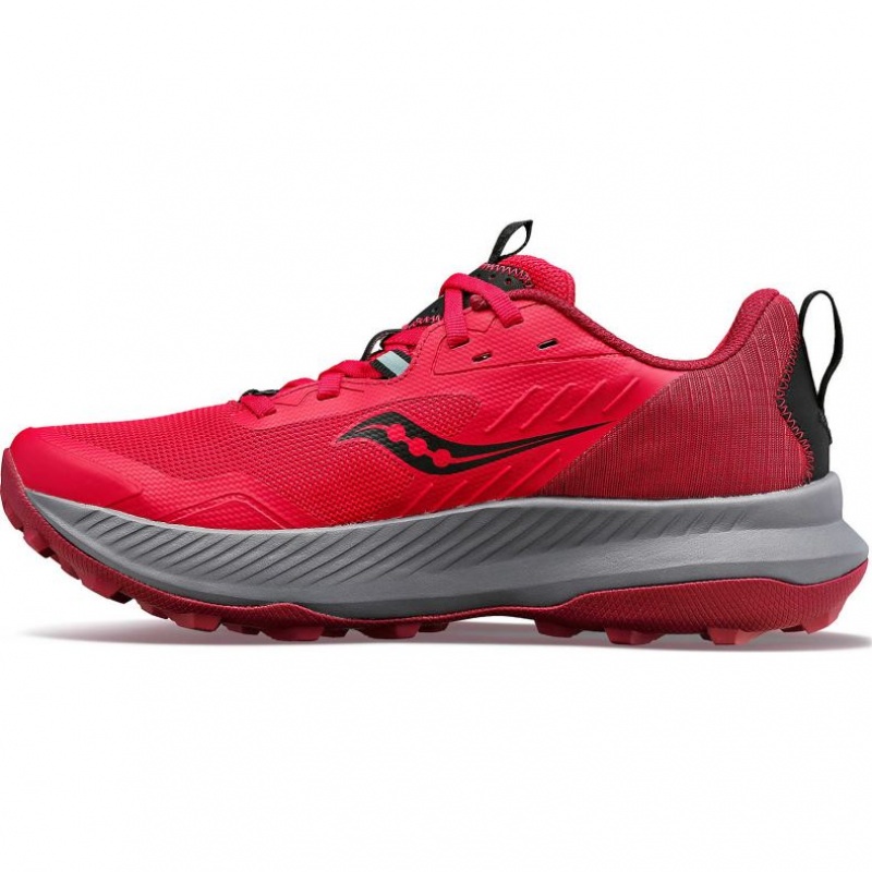 Saucony Blaze TR Women's Trail Running Shoes Rose | IRELAND LIJC