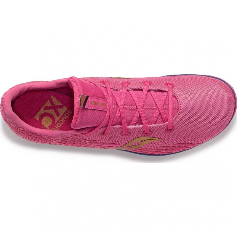 Saucony Havok XC 3 Men's Spikes Pink | IRELAND IBKW