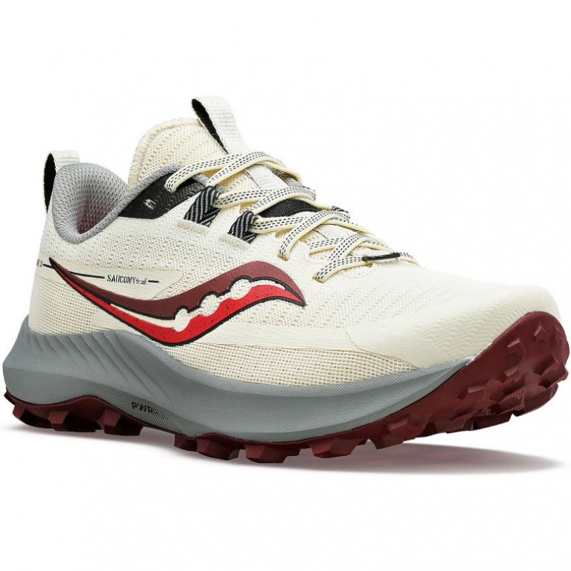 Saucony Peregrine 13 Women's Trail Running Shoes White | IRELAND JIQA